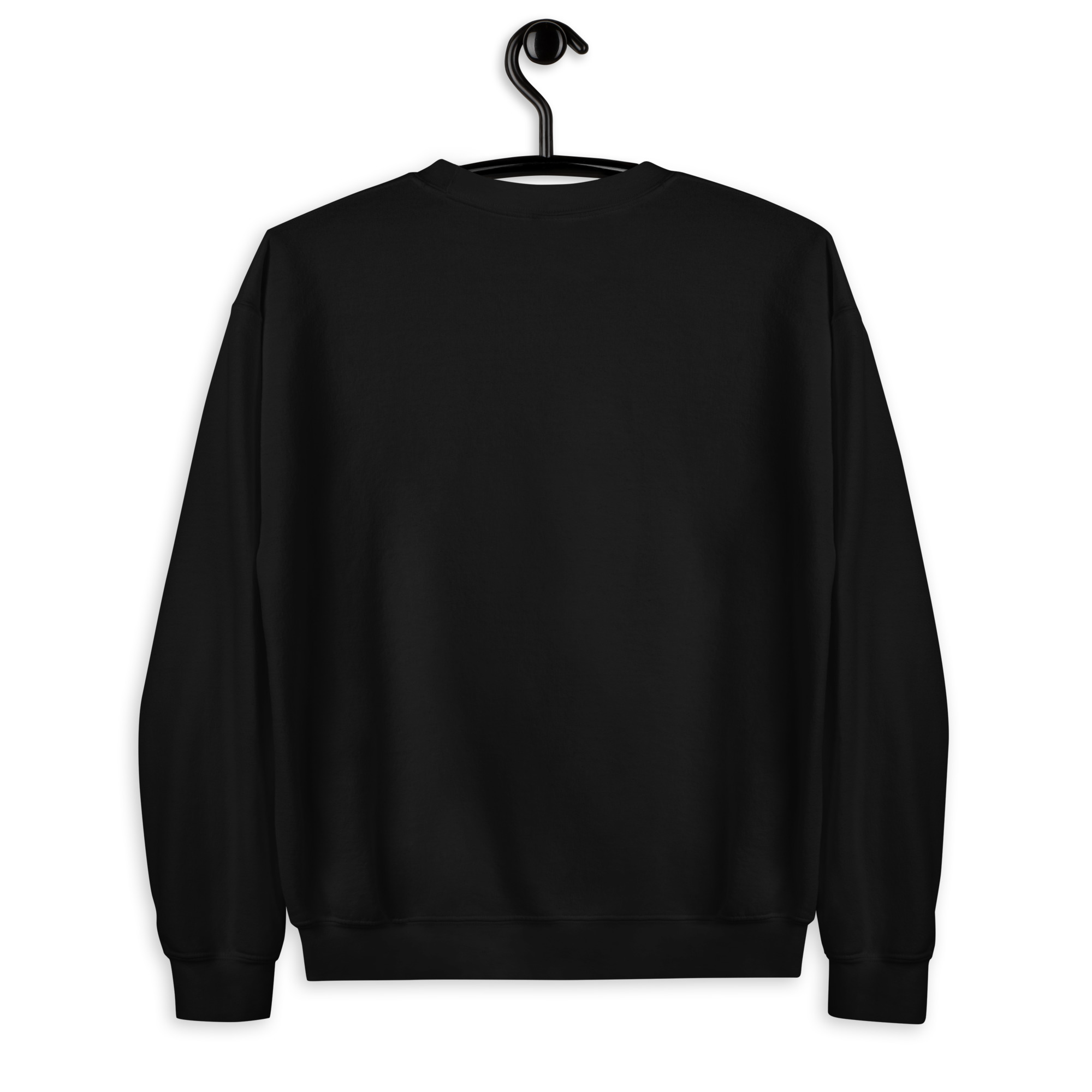 unisex-crew-neck-sweatshirt-black-back-6951bcc745626.jpg