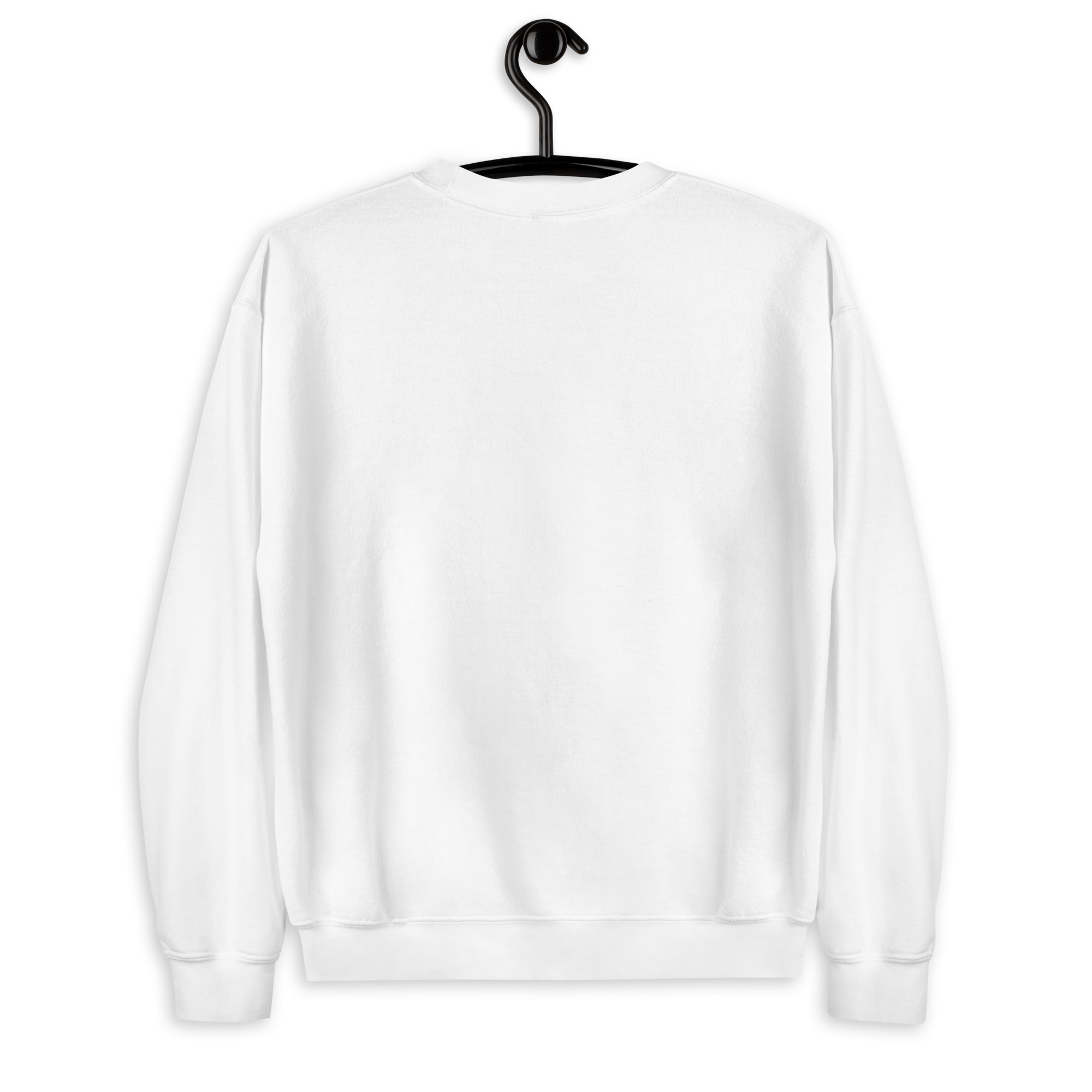 unisex-crew-neck-sweatshirt-white-back-6951bcc78f6a2.jpg